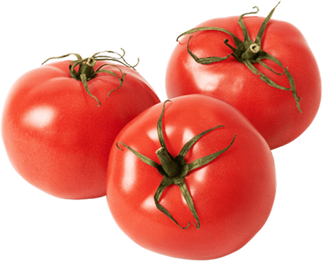 Colorful vegetable harvest