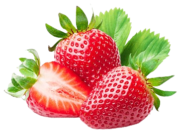 Organic produce assortment